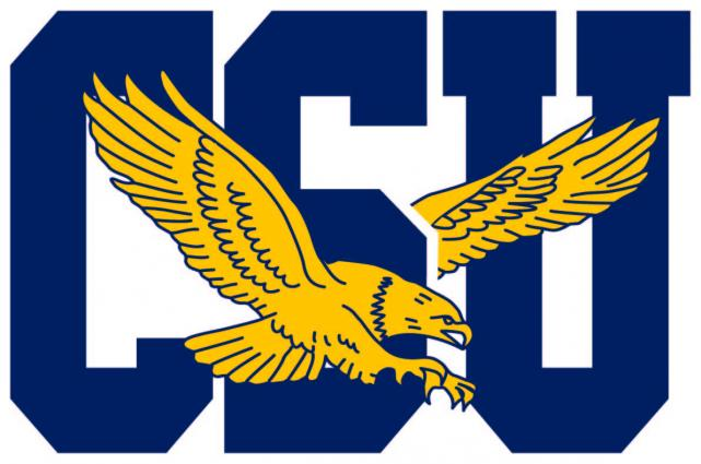 (image for) Coppin State Eagles 2017-Pres Primary Logo iron on heat transfer